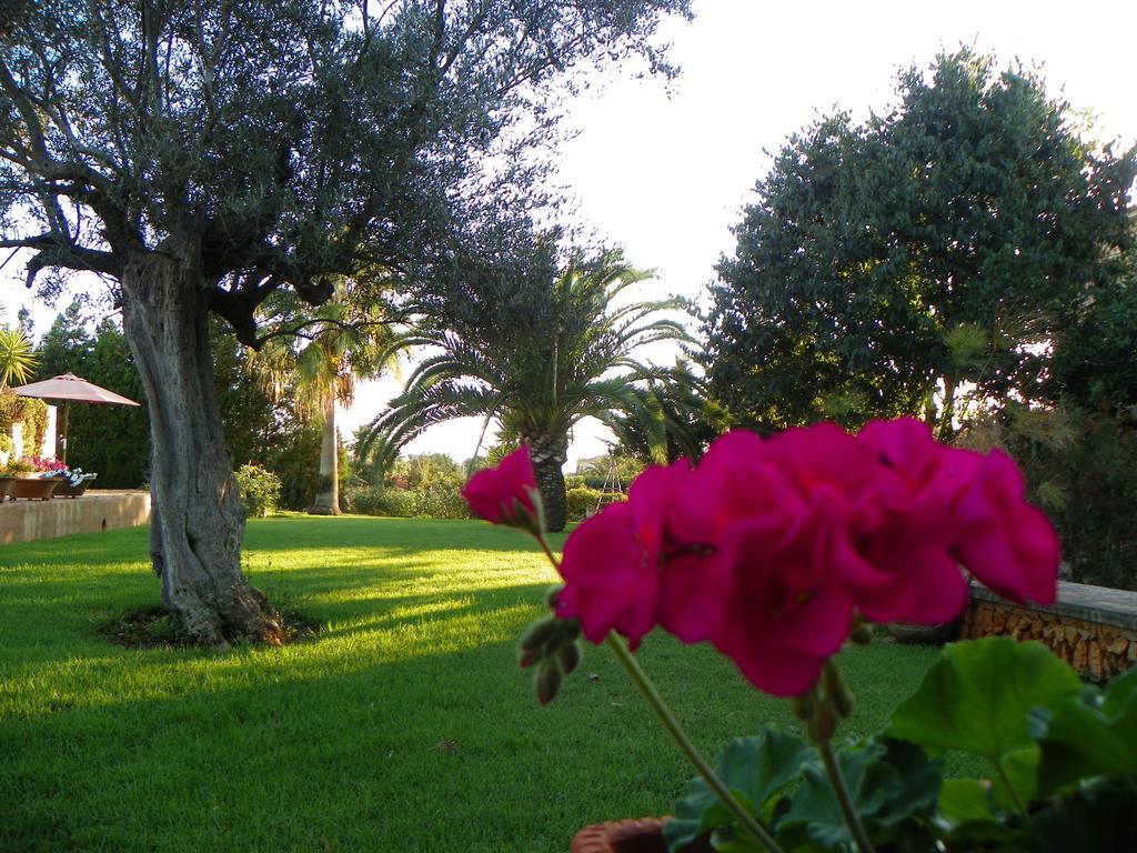 Agroturisme Can Bessol S'Horta Exterior photo